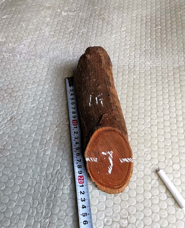 Millennium camphor wood block Pure fragrant camphor wood chips Natural red camphor wood strip anti-moth and insect repellent root cake tree root for sale physically