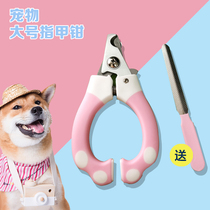 Dog nail clippers pet nail clippers puppy and cat special nail clippers small and medium-sized large dog Teddy Cat supplies