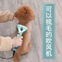 Pet Blowers Lafur God Instrumental Blow Comb Pooch Lafur Machine Integrated Hair Dryer Teddy Blow Hair Comb Beauty Special