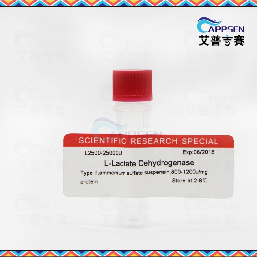 Biotopped L-乳酸脱氢酶 Lactate Dehydrogenase CAS:9001-60-9
