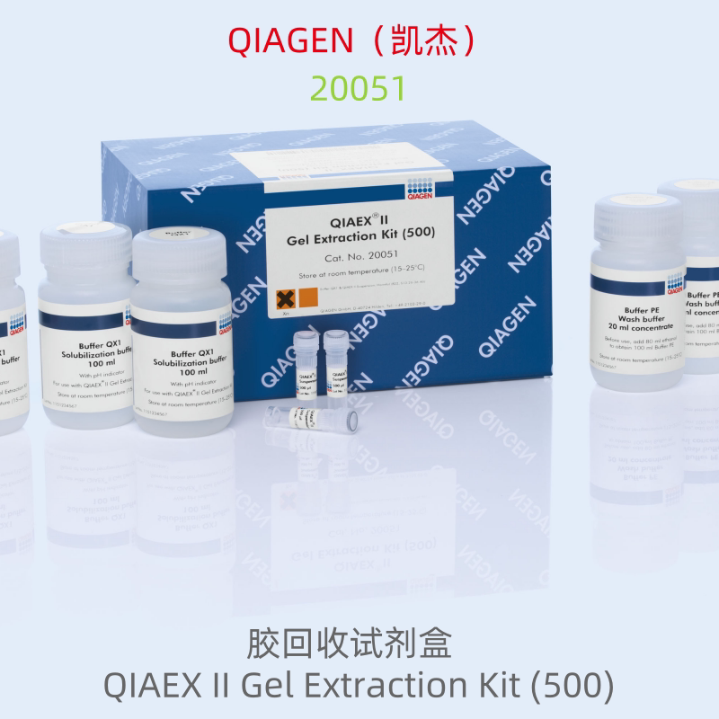 QIAGEN 20051 胶回收试剂盒  QIAEX II Gel Extraction Kit (500)