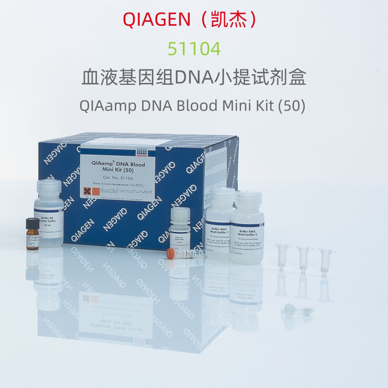 QIAGEN（凯杰）51104   血液基因组DNA小提试剂盒  50T  科研试剂