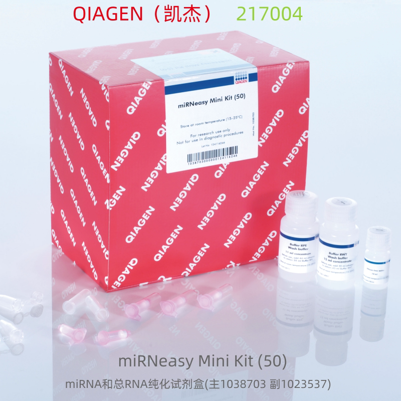 QIAGEN（凯杰）217004  miRNeasy Mini Kit (50)  科研试剂