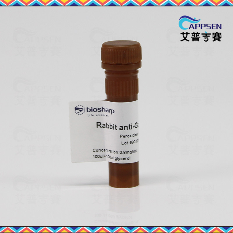 Biosharp BL004A 兔抗山羊IgG HRP  二抗 0.1ml