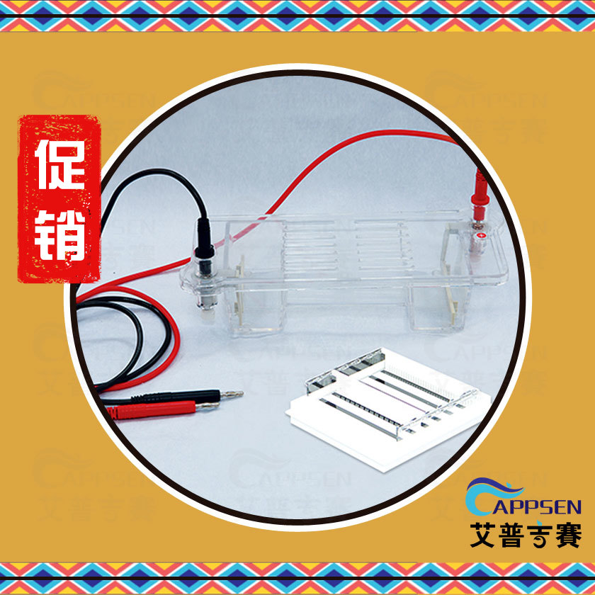 北京六一 DYCP-32B 琼脂糖水平电泳仪(中号)1223220