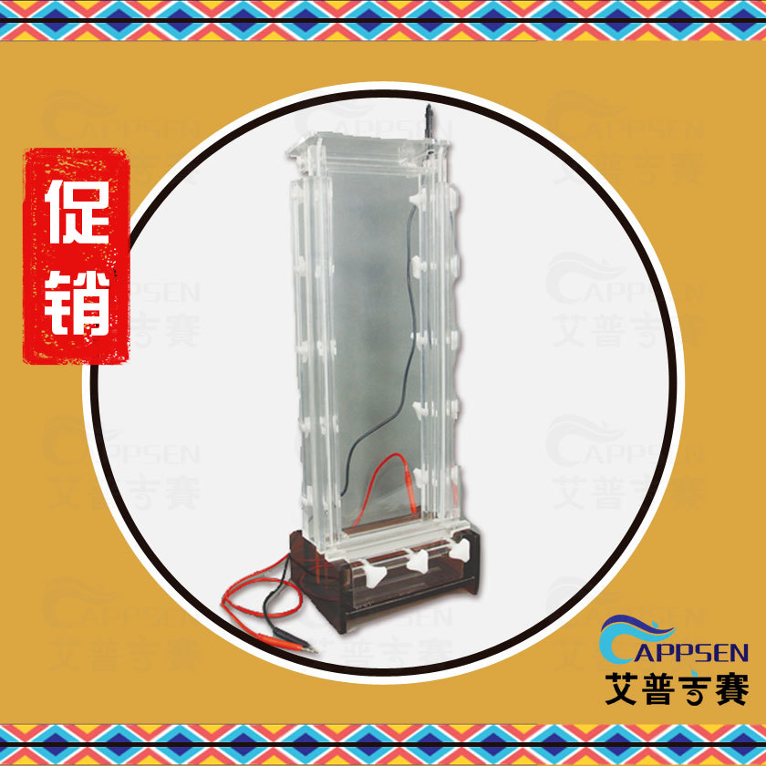北京六一 DYCZ-20A DNA序列分析电泳仪 1212010