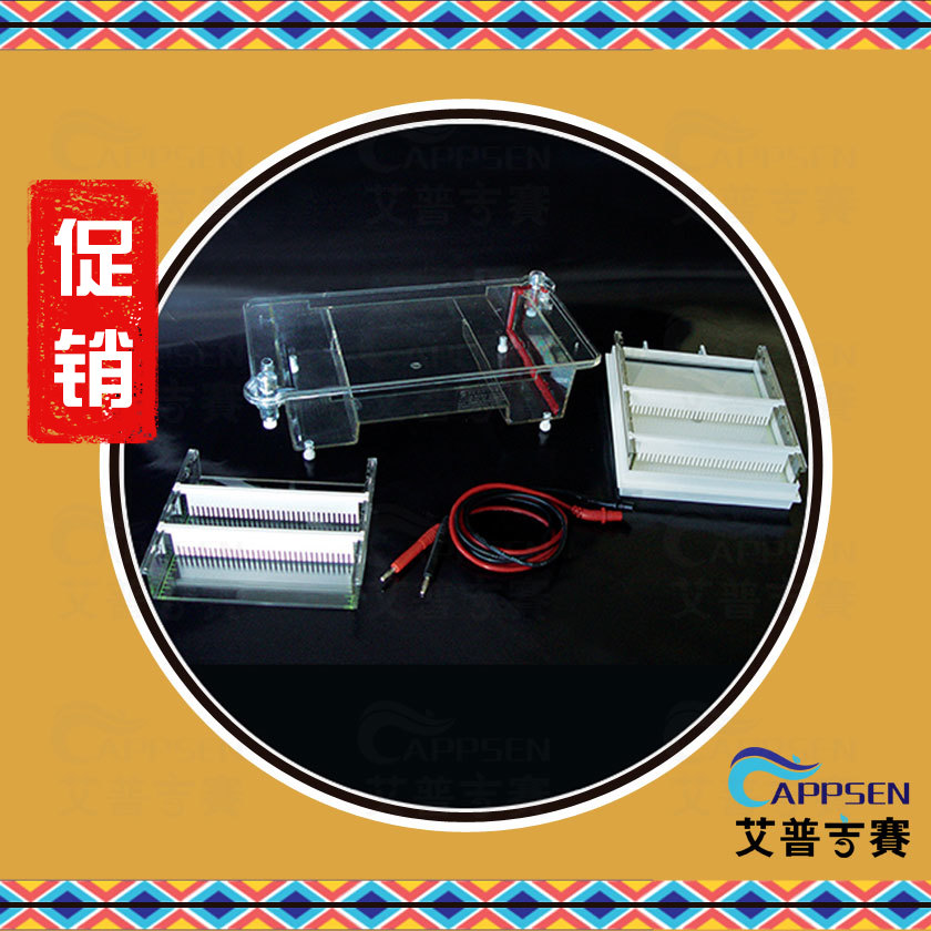 北京六一 DYCP-31E 琼脂糖水平电泳仪(中号)1223150