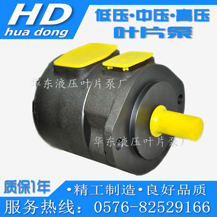 Vane Pump SQP1-2 3 4 5 6 7 8 9 10 11 12 14-1A B C D-15-86A-F-15