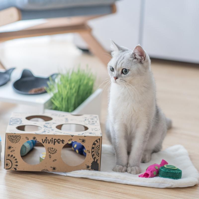 American Vipipet Cat Toy Self-Hi-Stifling Ball Suit Combined Fish Bite-resistant Tooth Grinding with mint corrugated cardboard box