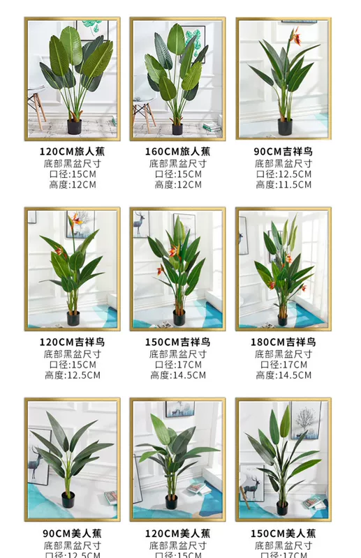 Cây mô phỏng Cây xanh phong cách Bắc Âu trang trí phòng khách cảnh quan Cây nhân tạo đặt sàn cạnh tủ TV phòng khách hoa giả de bàn