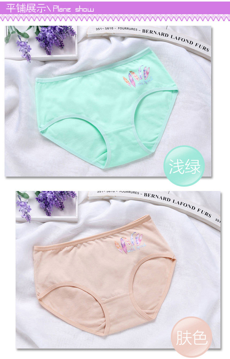 Slip jeunesse 6530 6531 6532 en coton - Ref 642937 Image 28