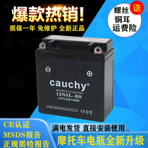 12N5L motorcycle battery 12v5a battery Yamaha Tianjian Zongshen 110 Dayang 100 curved beam car battery
