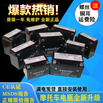 Motorcycle battery 12V9a universal maintenance-free 125 scooter 110 curved beam car 5a dry battery 7AH battery