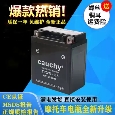 YT7L-BS Locomotive Battery 12V7AH New Continent 150 War Eagle Sissi Princess Honda Little Hornet Dry Battery