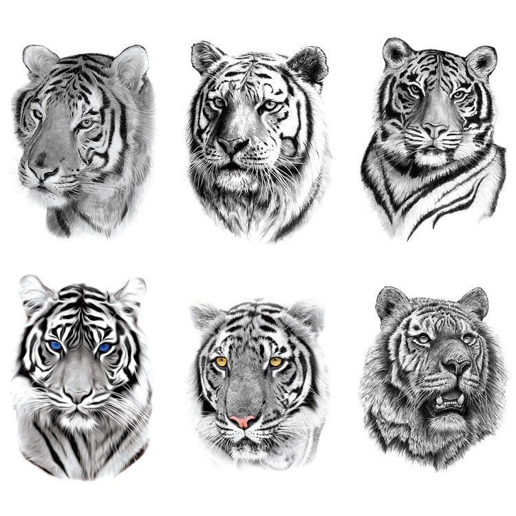 Large pattern Tiger half arm Arm Chest Bully Fashion Meet Photographic Water Transfer Waterproof Temporary Tattoo Sticker-Taobao