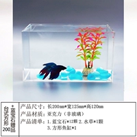 Table Square 200+Sapphire Gift