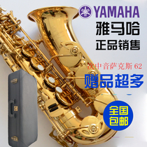 Yamaha alto saxophone new beginner grade examination professional lacquer gold plated silver black paint E-flat