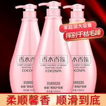 Fragrance Fragrance Conditioner Perm Hair Color Repair Dry Nourish Damaged hair Hydration Smooth Conditioner