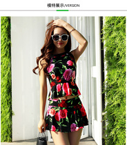 Yingxi Dream Korean split swimsuit womens skirt style small chest gathering Belly Belly high waist girl soak hot spring swimsuit