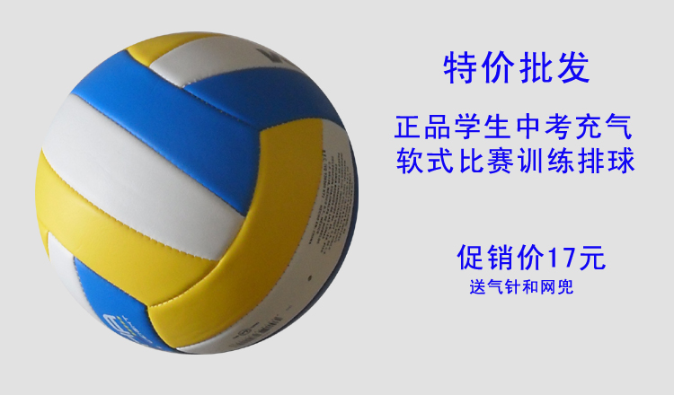 Ballon de volley-ball - Ref 2007907 Image 19