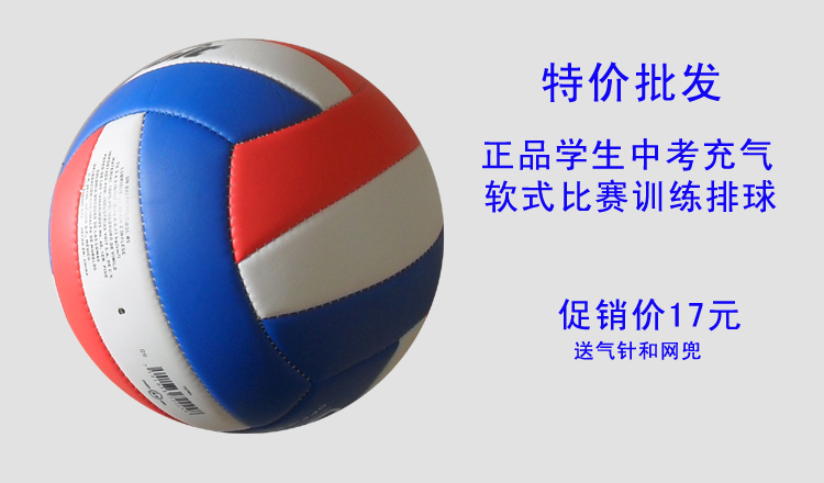 Ballon de volley-ball - Ref 2007907 Image 18