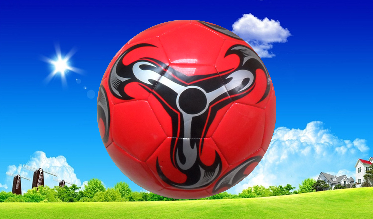 Ballon de foot - Ref 6608 Image 25