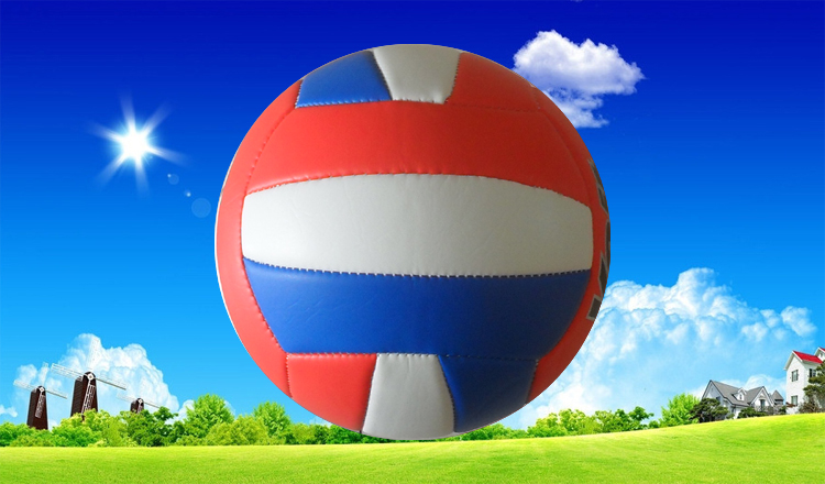 Ballon de volley-ball - Ref 2007907 Image 25