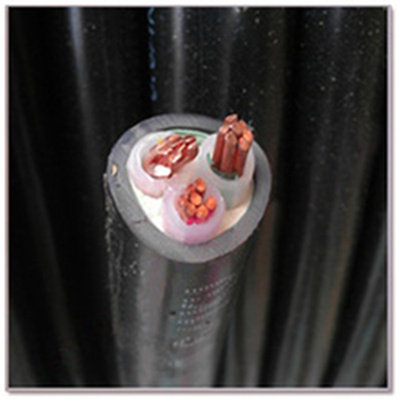 Hangzhou Zhongce brand wire and cable ZRYJV3*16 square three-core power hard cable national standard copper core foot meter