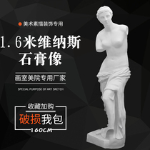 Gypsum statue Broken arm Venus Gypsum full body statue Gypsum decoration European sculpture Statue Gypsum sketch model