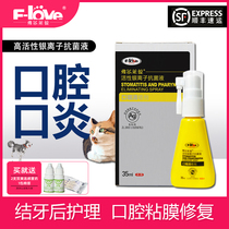Oral pharynx spray Flybao enterprise shop cat stomatitis ulcer Pet Oral dog halitosis gingivitis