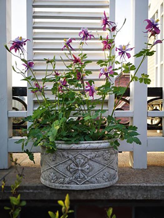 European style pottery flowerpot gray old retro oval mouth pottery pot thick pottery flowerpot