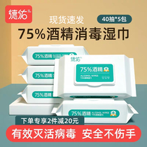Deyou 75%alcohol disinfection wipes Household sanitary hand wipes thickened sterilization and disinfection wipes 40 pumping 5 packs