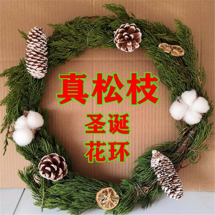 2026永生花DIY:松果、红果、松柏侧柏装饰材料该怎么选?