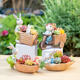 Creative cartoon small succulent potted cute rabbit tricycle flowerpot meat combination potted kindergarten small gift