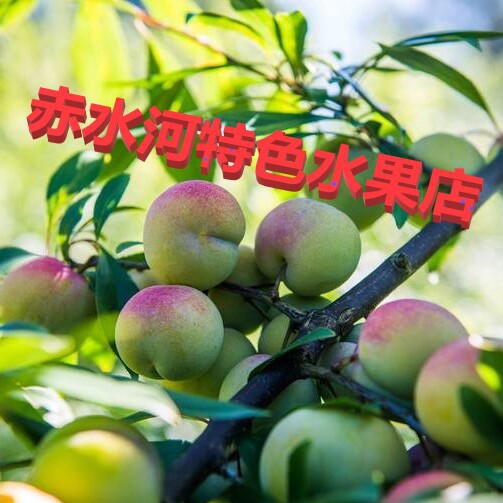 四川赤水河特色农产品店