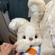 Hong Kong Sc Cute Rabbit Doll Good Night Rabbit Sleeping Companion Puppy Carrot Apron Rabbit Plush Toy Birthday Gift