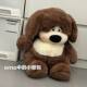 Hong Kong Sc Cute Bean Dog Plush Toy Doll Adorable Cute Puppy Doll Pillow Birthday Gift