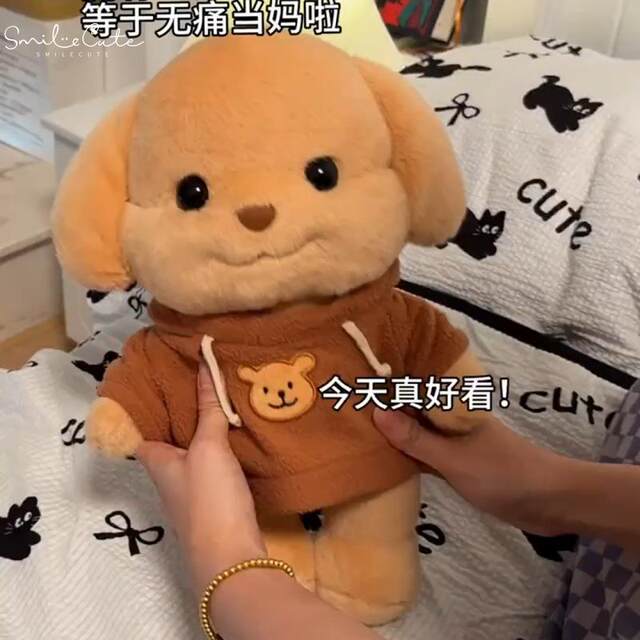 Hong Kong Sc Internet Celebrity Xiaobiga Plush Toy Doll Family Dog Poodle Bag Doll Birthday Gift