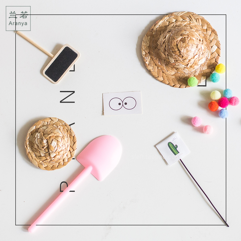 ins net red potted green plant gardening decoration accessories cactus succulent micro landscape jewelry small ornaments