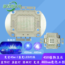 Guanghong 45mil high power LED integrated lamp beads 50W blue landscape lighting light aquarium light tree light chip