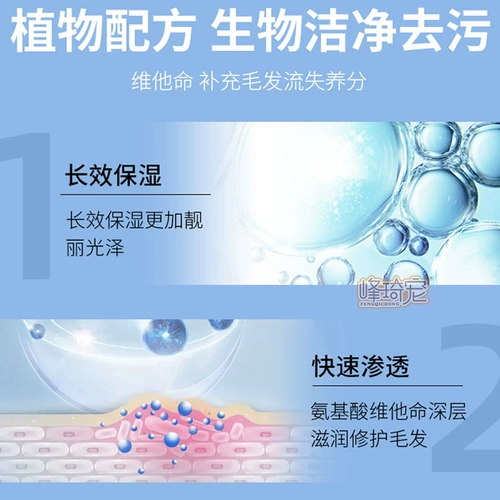 Big Bear Dog Special Porta Pet Pets Пушистый пух