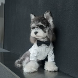 Костюм для собаки, платье, свадебная одежда владельца, галстук-бабочка, украшение для домашнего животного, посещение свадьбы, праздничное подарочное кольцо, Бишон Фризе