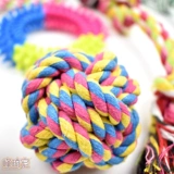 Большой медведь посвященный веревку с мячом для игрушек, положив зуб жира и вымол на собак в одиночку. Укушенные маленькие собаки