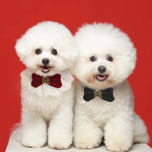 Галстук-бабочка, слюнявчик с бантиком, аксессуар, шарф