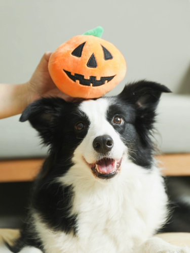 Вкусный прыгающий мяч «Капитан Эльф», артефакт от скуки, домашний электрический шар, звучащий для собак, плюшевая игрушка