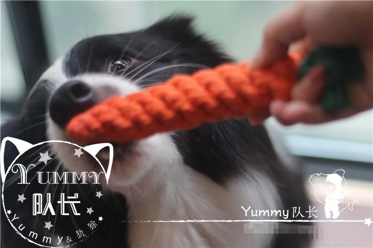 Dễ thương mol mol bông cà rốt Dây tương tác nút chó chó con chó con sạch răng bóng đồ chơi cho chó