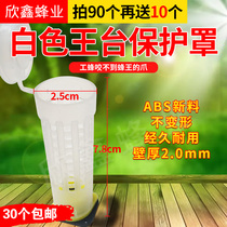 Bee Wangtai anti-bite protective cover Wangtai protection circle Wang Taiwan base bee queen bee protection cover 30 bees utensils