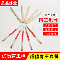 Beekeeping dedicated yi chong zhen yu wang Rod both males and females yi chong zhen bee Apis mellifera shift worm yu wang professional beekeeping tools