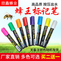 New imported bee King Mark pen this production Environmental protection does not hurt the Bee Queen to mark beekeeping tools