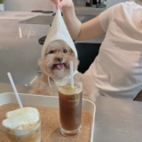 Mattel, демисезонная майка, платье-комбинация, пони, домашний питомец